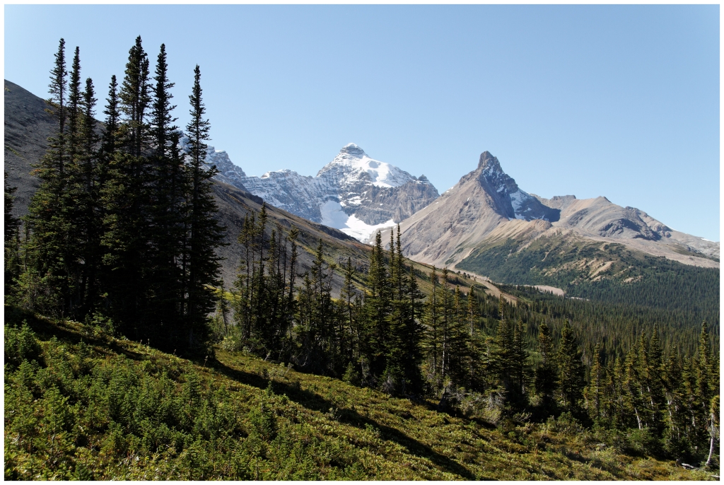 06 - Icefields Parkway (9).jpg